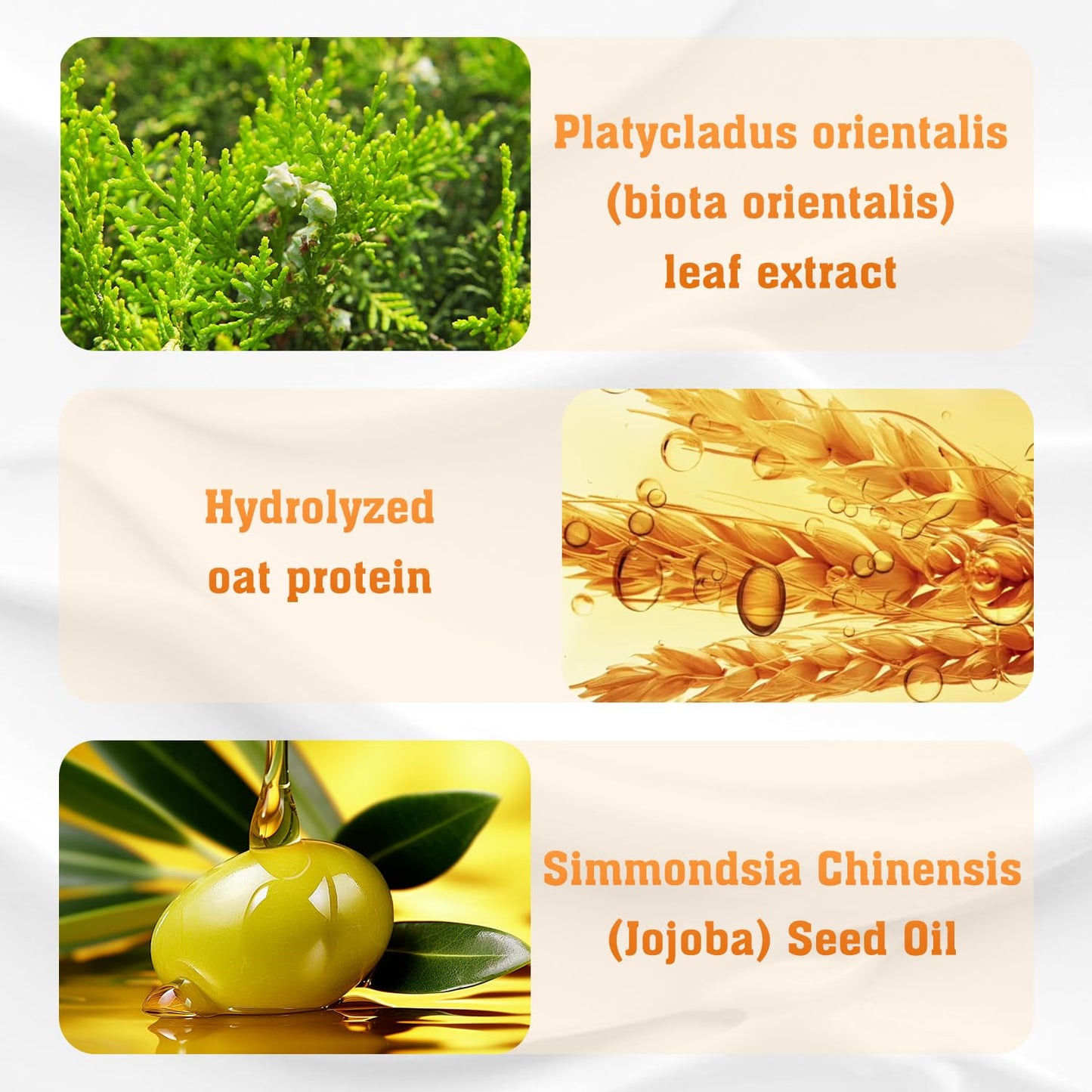 Anti-Hair Fall Shampoo